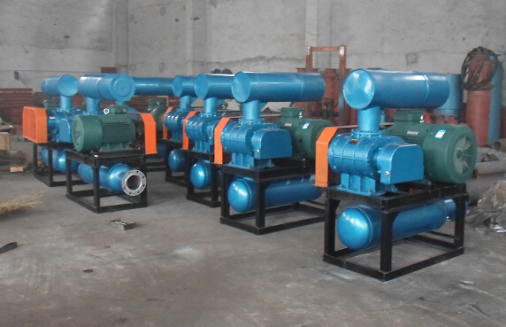 熱電廠專(zhuān)用羅茨鼓風(fēng)機(jī)